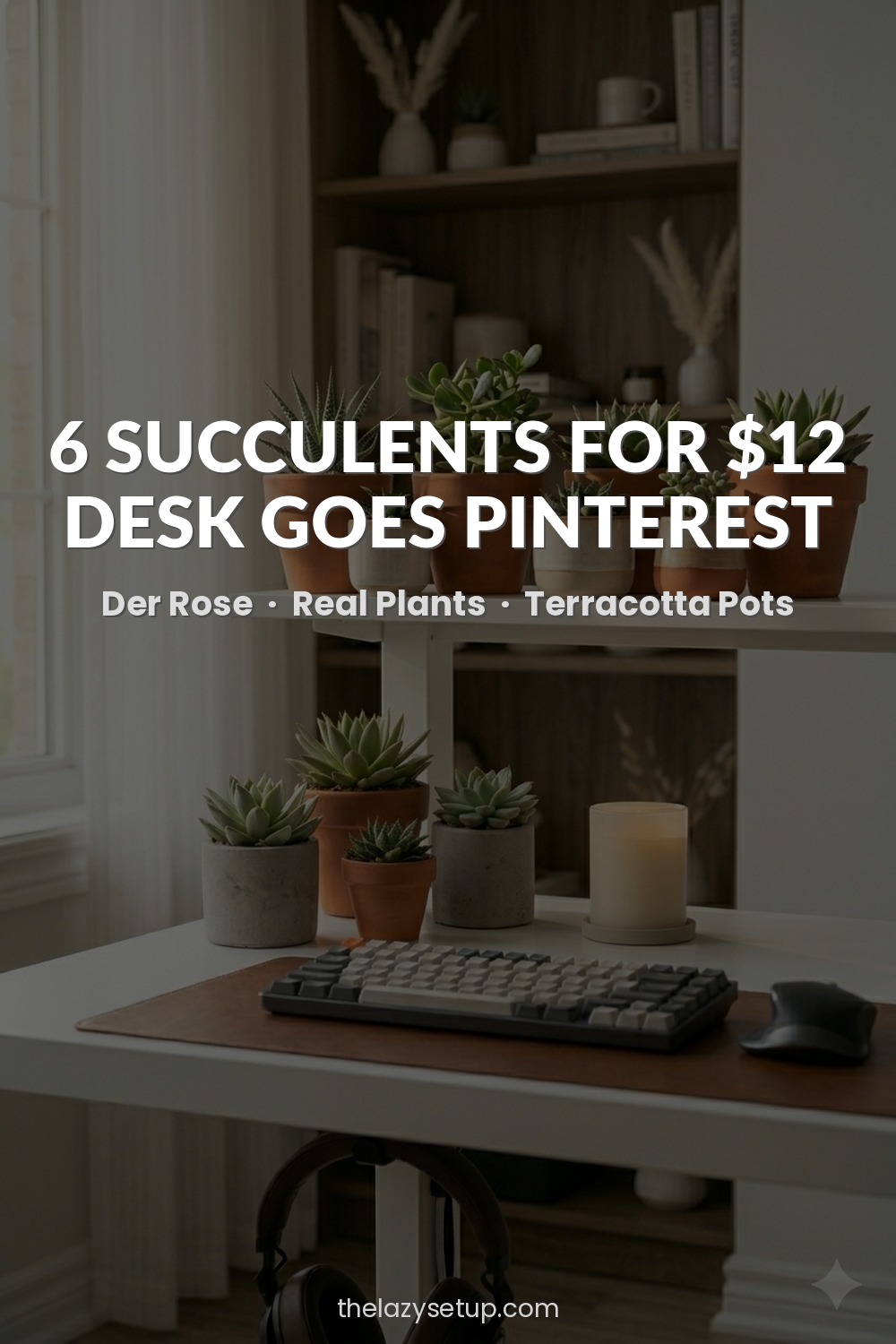 27 Pinterest-Worthy Desk Setup Ideas (That Are Actually Affordable) Live succulents for desk plants — Der Rose set of 6 Amazon